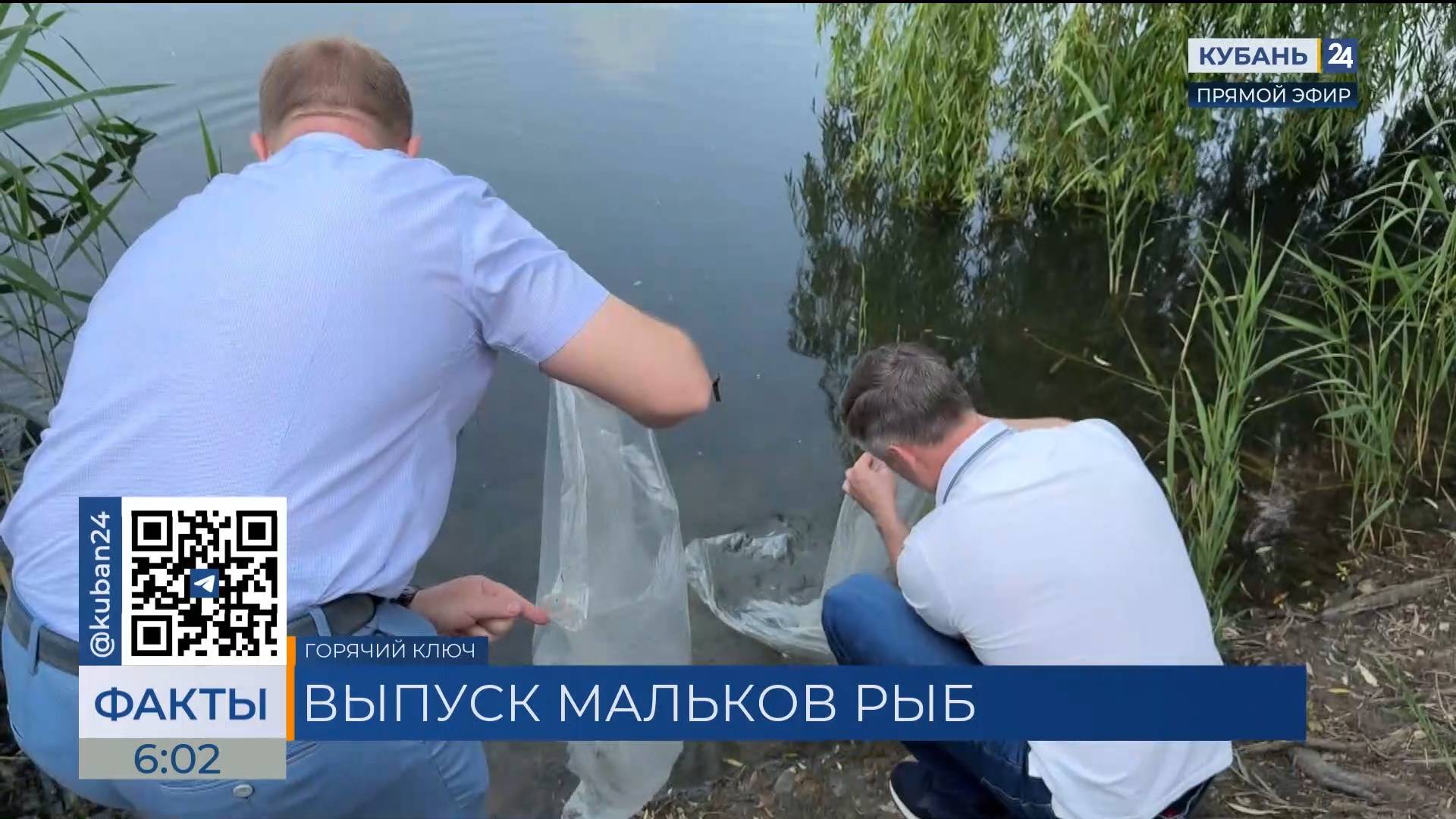 В озеро Круглое в Горячем Ключе выпустили 1,5 млн мальков рыб
