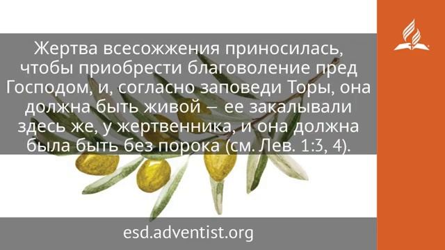 9 июня Живая жертва Под сенью благодати Адвентисты [get-save.com]