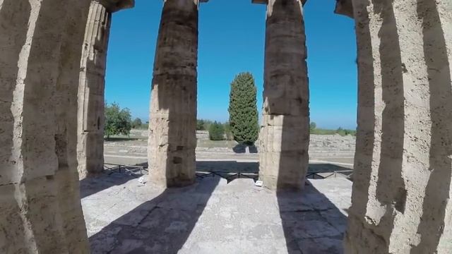 Прогулки под солнцем.