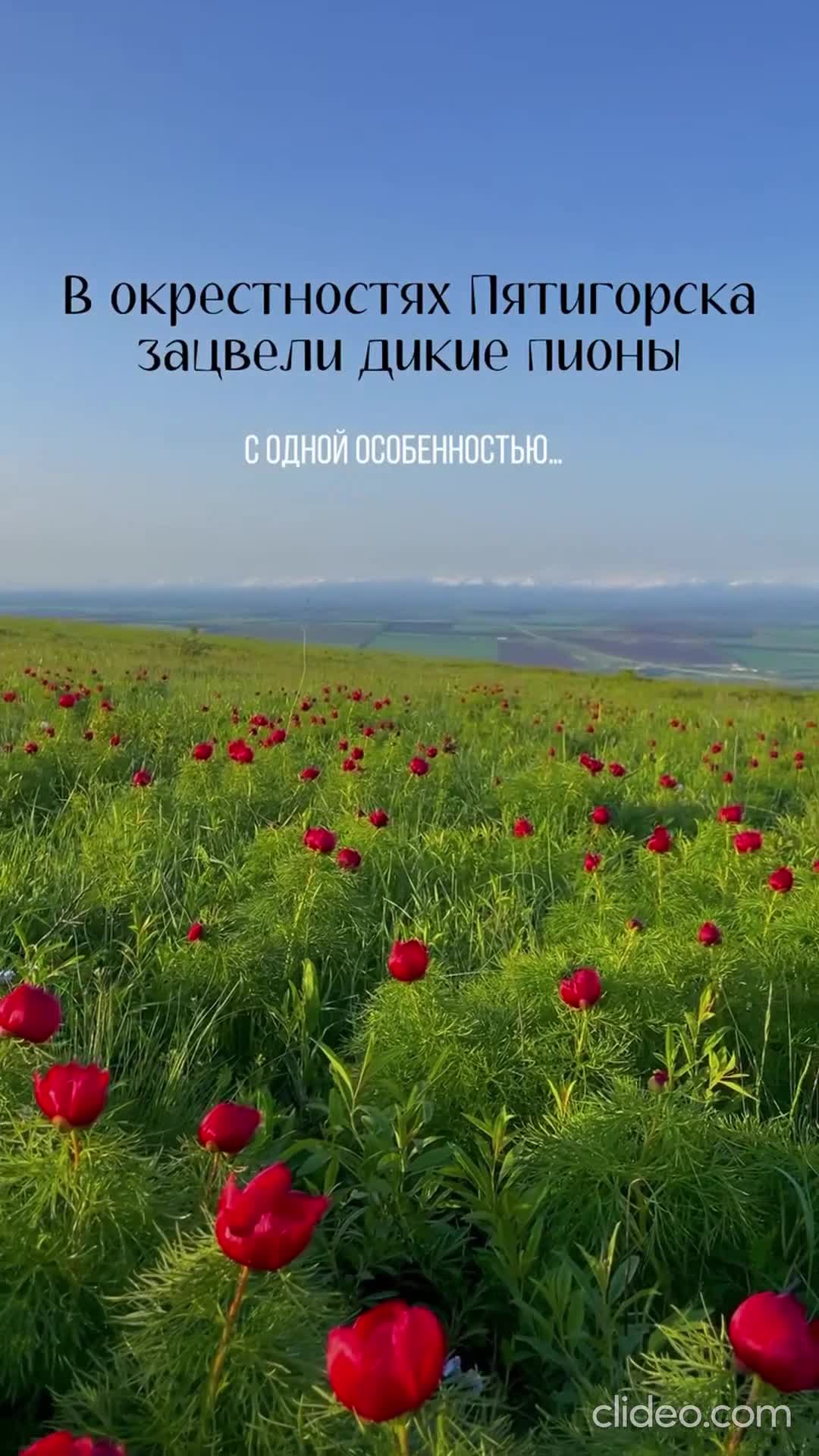 Подпишись 👉 https://vk.com/ykrasheniy_iz_kamny