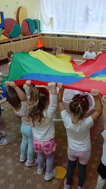 VID_20241119_110737
