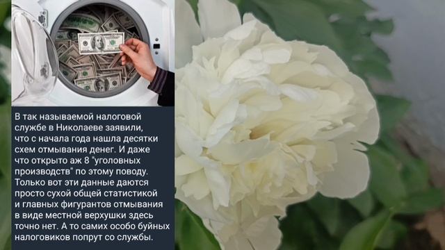 Николаев 10 июня 2025 года (новости)