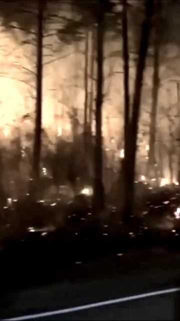 Масштабные лесные пожары в Амурской области
