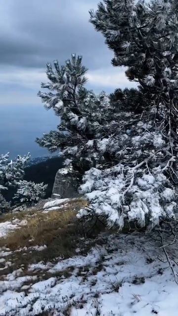 Снег выпал в Крыму