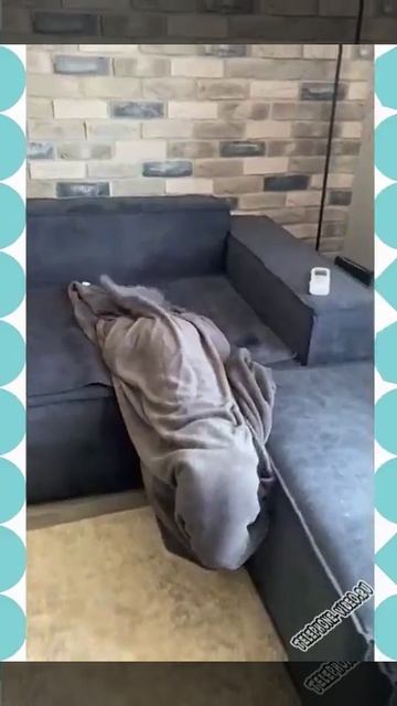 ПРИВЕДЕНИЕ С МОТОРОМ