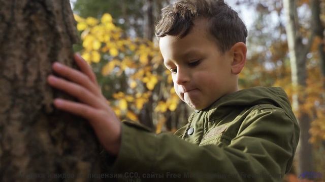 Саунд качает сердце, как ветер качает траву - Moms Garage -- SUPERARE -- VI