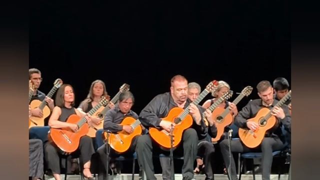 676. 🎸 Поёт гитара!