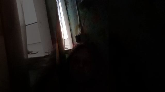 VID_20250610_025133.mp4