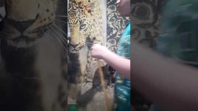 Срочное видео