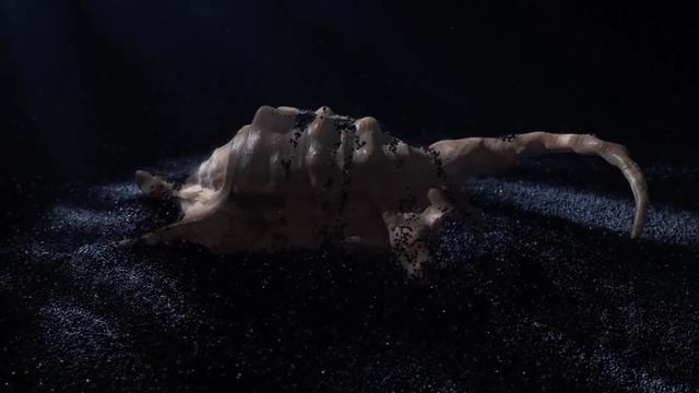 Showreel