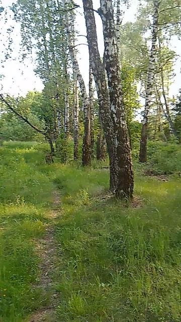 VID_20250606_170014