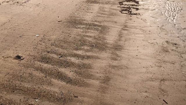 Всем моим друзьям и подписчикам ПРИВЕТ с Белого моря