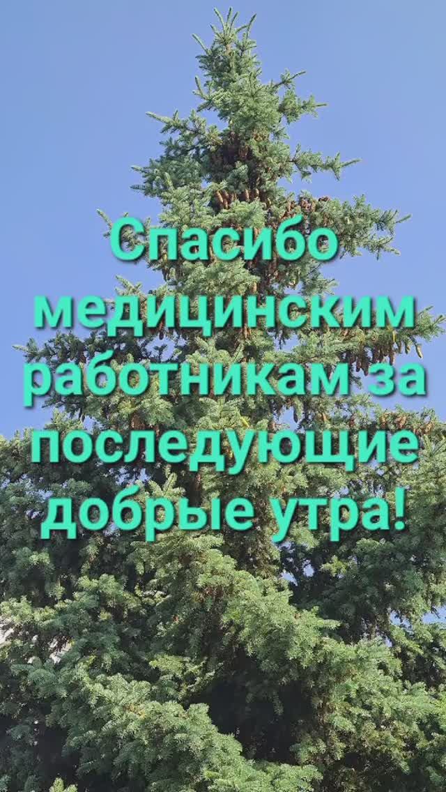 Спасибо, медики!