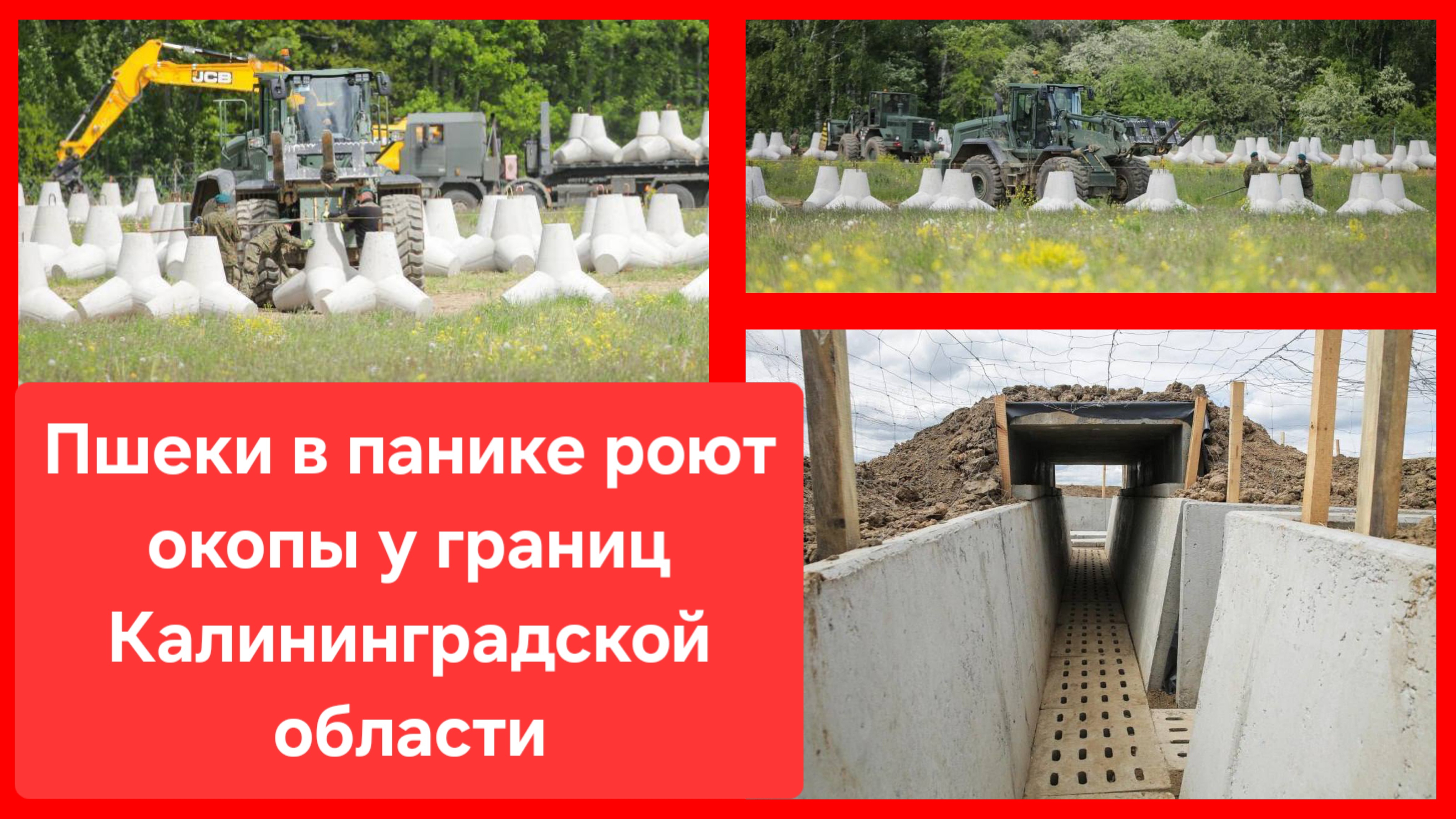 Когда польские стратеги планируют победу над Москвой, но открывают учебник и видят там 1612, 1945...