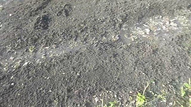 09.04.2024  _ Моя любимая дача _ открыли сезон _ 2