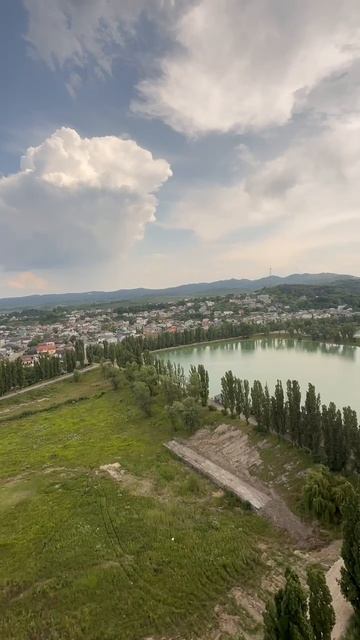 грин парк