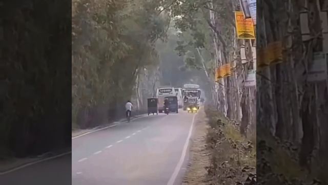 В Индии на дорогах весело