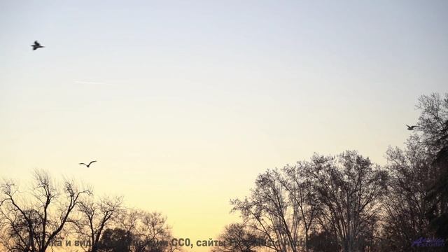 Мелодия открывает новые горизонты прямо на экране - 20 Minute Meditation 10 -- HoliznaCC0 -- Space -