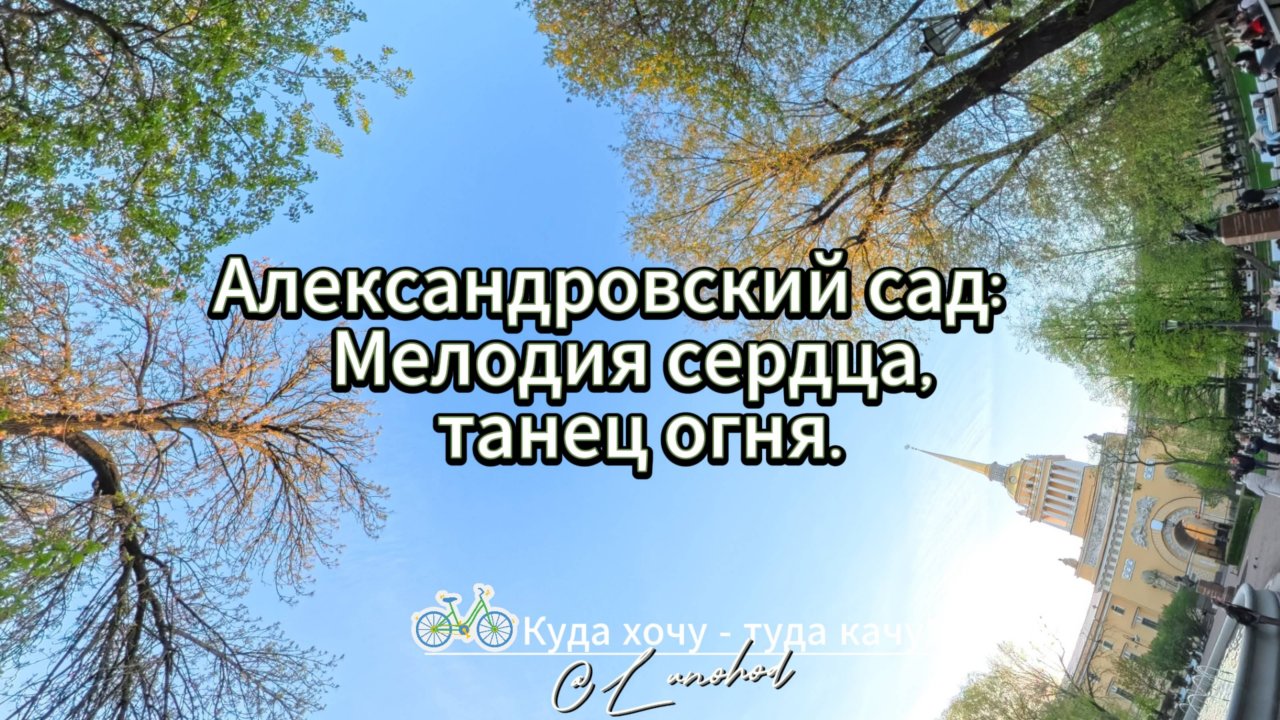 Александровский сад: Мелодия сердца, танец огня.