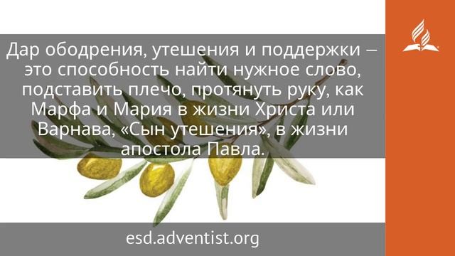 10 июля 2025. Неугасающий огонь служения. Под сенью благодати | Адвентисты