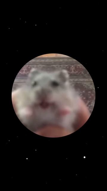 1000019352.mp4
