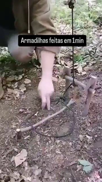 Animal traps