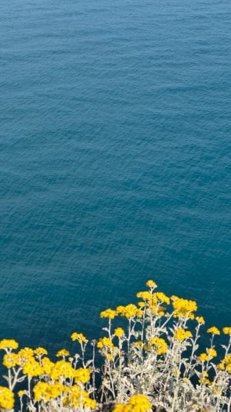 КРЫМ Черное МОРЕ