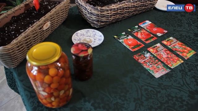 Томатная тема: в рубрике «Нескучный сад» сеем рассаду помидоров
