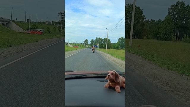 Просто видео, случайный эпизод на дороге #Shorts