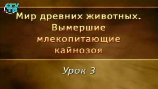 Вымершие млекопитающие # 3. Вымершие австралийские сумчатые и южноамериканские ксенартры