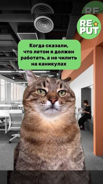🏖️ "Опасная правда: летом тоже нужно работать"