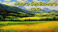 Из берёзы течёт много сока