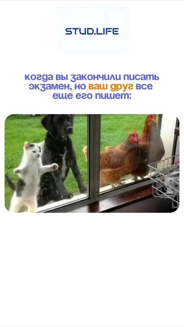А кто тебе ближе: тот, кто закончил писать или тот, кто все еще пишет?