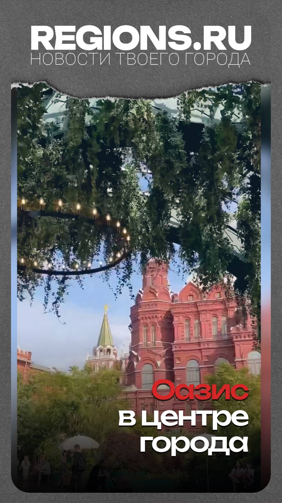 Оазис в центре города