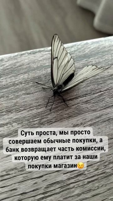 Что выберешь ты???
Кликабельная ссылка в описании канала!
#кэшбэк #альфа #выгодныепокупки