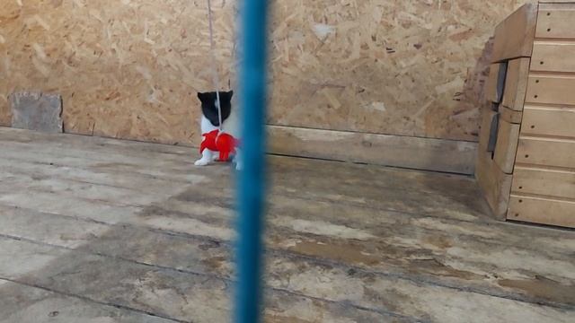 1000244385.mp4