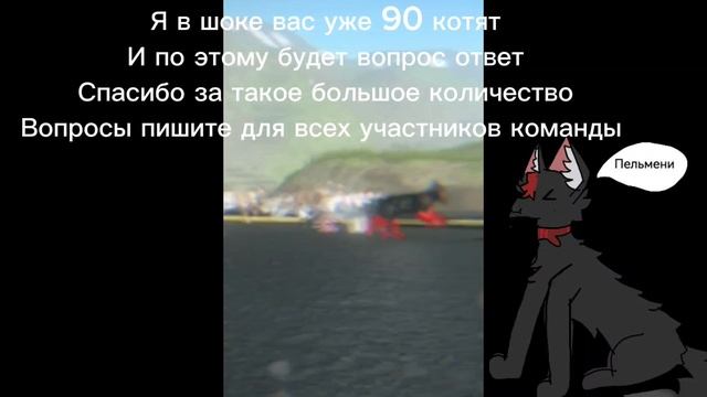 Спасибо за 90 котят будет Вопрос ответ) ❤️