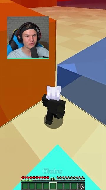 Как Пройти в Minecraft?🧐 435% #shorts #шортс #minecraft #майнкрафт #вмайнкрафт #проверка #lisfox