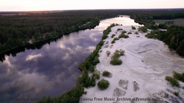 Музыка наполняет душу так, что хочется кричать - Shines Through Trees -- Podington Bear -- Said Lion