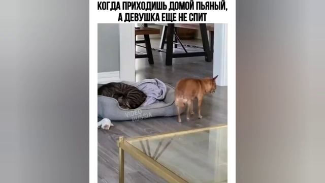 Супер приколы 22