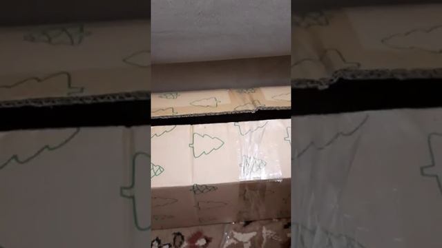 Наш TG https://t.me/liveofcats