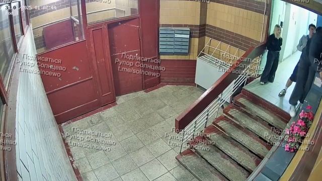 Человек мля, паук