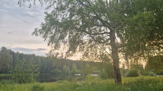 В гостях у Берендея.  Кострома.