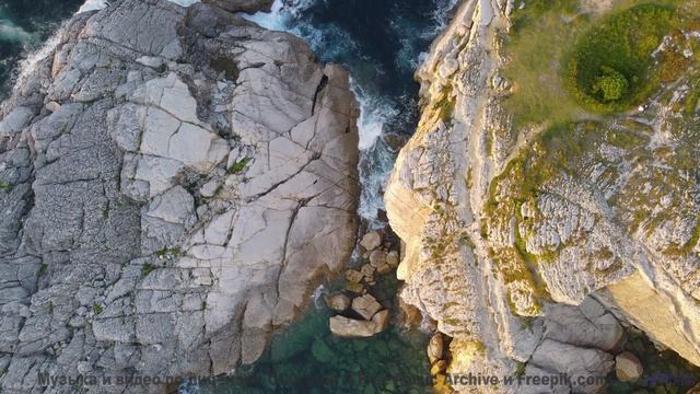 Звуки текут по венам вместе с реками и лесами - Vuelve a la Luz -- Silva de Alegria -- Primavera en