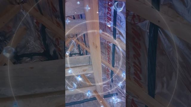 1000025962.mp4 (Собака следит за планированием приточно-вытяжной вентиляции в доме А-фрейм)