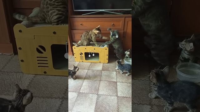 1000063185.mp4