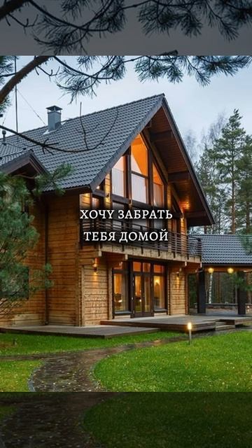 Ты похож на кота