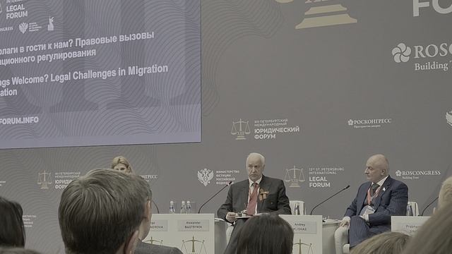 XIII ПМЮФ-2025."Все флаги в гости к нам?" О миграционной политике (5)