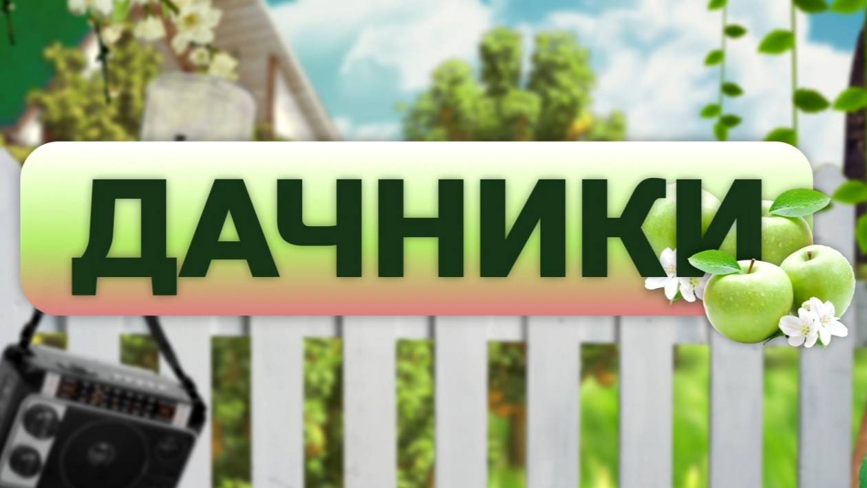 Раньше не всегда хорошо: сроки и правила посадки картофеля