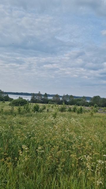 участок в д. Наумово